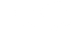 VladiSax